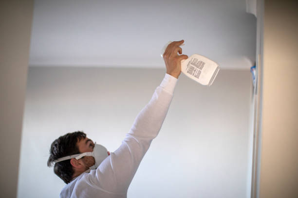 Best Health and Safety Mold Remediation in Hanahan, SC
